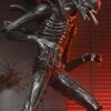 Alien: Romulus Action Figure Ultimate Xenomorph XX121 18 cm 7 Alien: Romulus Action Figure Ultimate Xenomorph XX121 18 cm