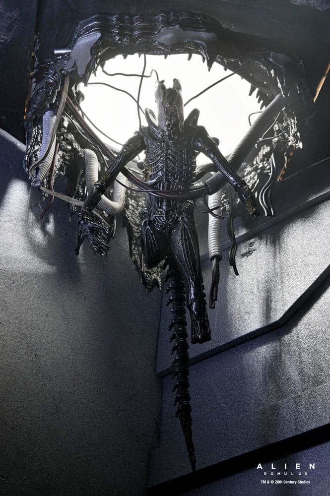 Alien: Romulus Action Figure Deluxe Suspended Lab Xenomorph XX121 18 cm 12 Alien: Romulus Action Figure Deluxe Suspended Lab Xenomorph XX121 18 cm - Bilde 12
