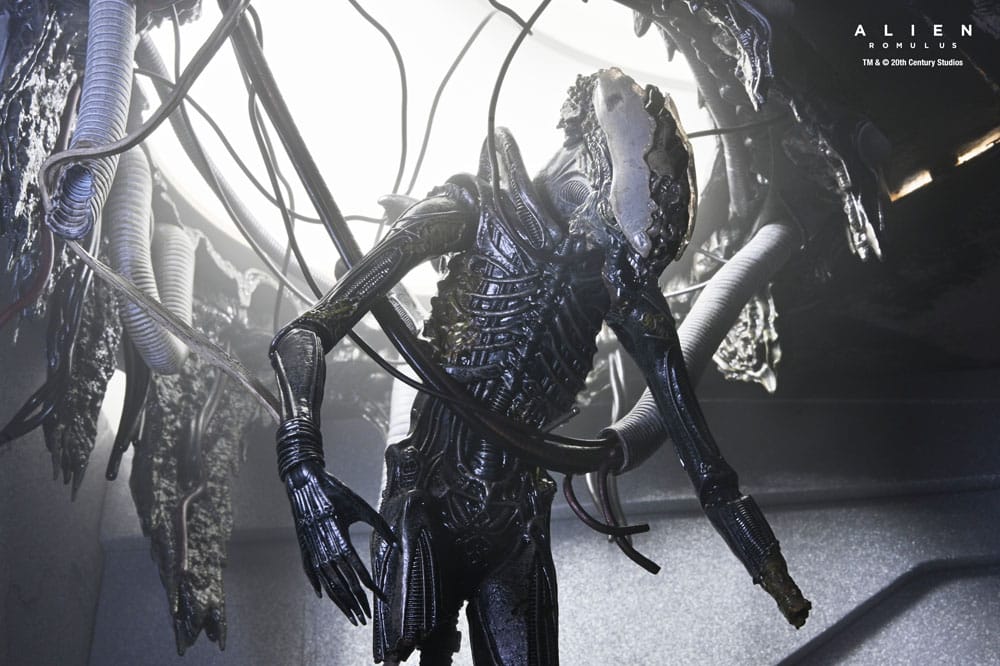 Alien: Romulus Action Figure Deluxe Suspended Lab Xenomorph XX121 18 cm 13 Alien: Romulus Action Figure Deluxe Suspended Lab Xenomorph XX121 18 cm - Bilde 13