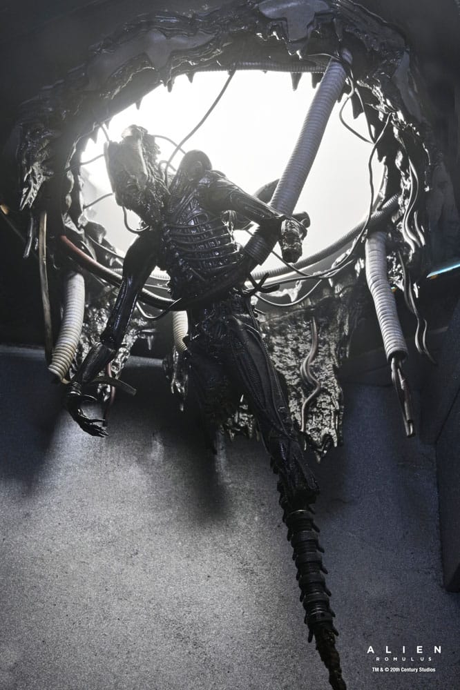 Alien: Romulus Action Figure Deluxe Suspended Lab Xenomorph XX121 18 cm 14 Alien: Romulus Action Figure Deluxe Suspended Lab Xenomorph XX121 18 cm - Bilde 14