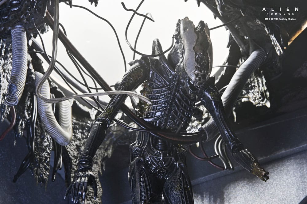 Alien: Romulus Action Figure Deluxe Suspended Lab Xenomorph XX121 18 cm 4 Alien: Romulus Action Figure Deluxe Suspended Lab Xenomorph XX121 18 cm - Bilde 4