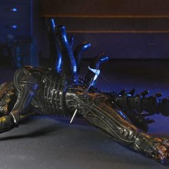 Alien: Romulus Action Figure Deluxe Suspended Lab Xenomorph XX121 18 cm 20 Alien: Romulus Action Figure Deluxe Suspended Lab Xenomorph XX121 18 cm