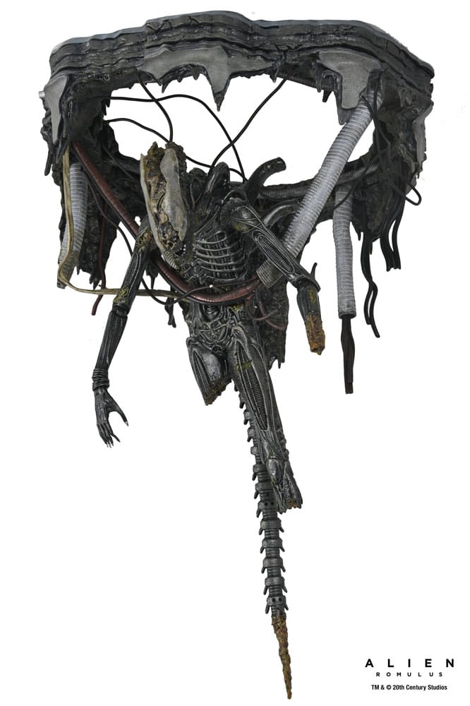 Alien: Romulus Action Figure Deluxe Suspended Lab Xenomorph XX121 18 cm 9 Alien: Romulus Action Figure Deluxe Suspended Lab Xenomorph XX121 18 cm - Bilde 9