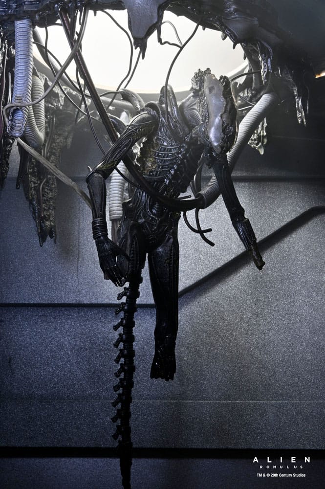 Alien: Romulus Action Figure Deluxe Suspended Lab Xenomorph XX121 18 cm 11 Alien: Romulus Action Figure Deluxe Suspended Lab Xenomorph XX121 18 cm - Bilde 11