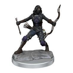 Dungeons & Dragons Frameworks Miniature Model Kit Human Rogue Female