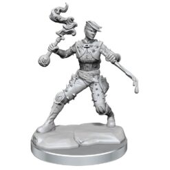 Dungeons & Dragons Frameworks Miniature Model Kit Human Rogue Female