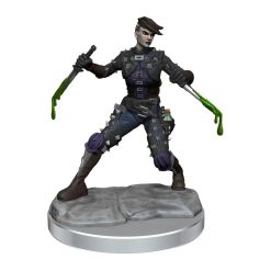 Dungeons & Dragons Frameworks Miniature Model Kit Human Rogue Female