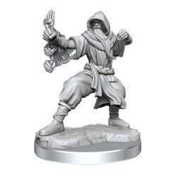 Dungeons & Dragons Frameworks Miniature Model Kit Human Monk Male