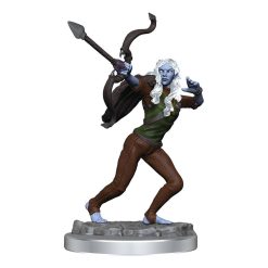 Critical Role Unpainted Miniatures 90631 Ashari Stoneguard & Ashari Skydancer