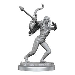 Critical Role Unpainted Miniatures 90631 Ashari Stoneguard & Ashari Skydancer