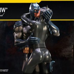DC Comics Bust Batman & Catwoman 30 cm