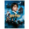 Harry Potter - Sorcerers Stone Movie Poster - Puslespill (1000 brikker)