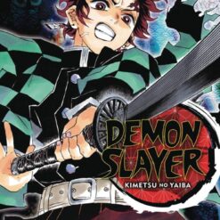 Demon Slayer 10