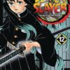 Demon Slayer 12