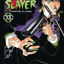 Demon Slayer 13