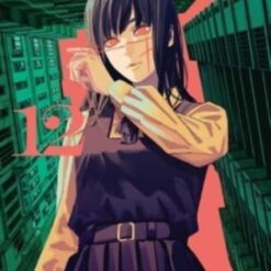Chainsaw Man Vol 12
