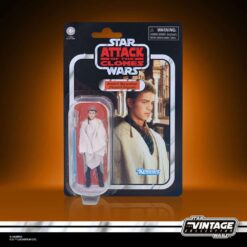 Star Wars - The Vintage Collection - Anakin Skywalker (Peasant Disquise)