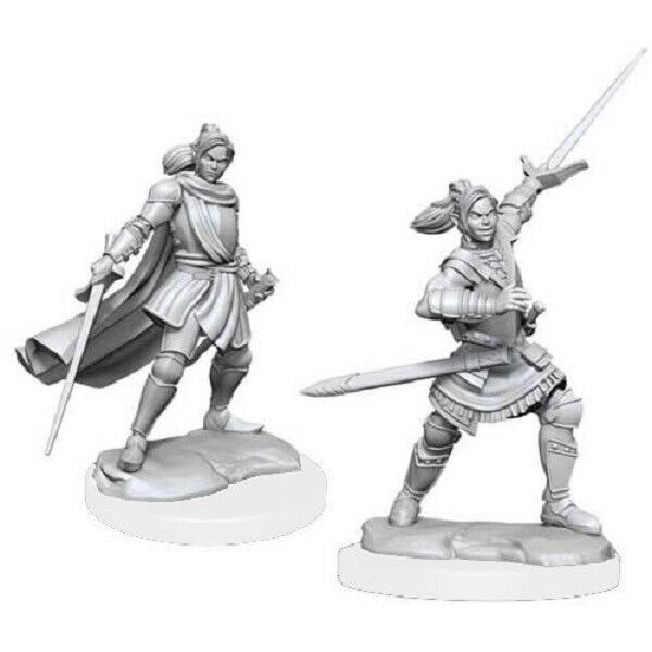 Half-Elf Xhorhas Paladin 1 Half-Elf Xhorhas Paladin