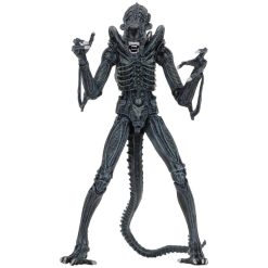 Aliens (1986) Ultimate Alien Warror 7" Action Figures Blue Alien 9 Aliens (1986) Ultimate Alien Warror 7" Action Figures Blue Alien