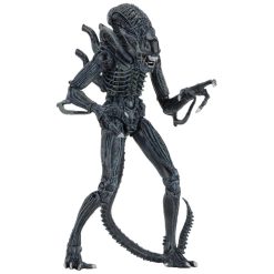 Aliens (1986) Ultimate Alien Warror 7" Action Figures Blue Alien 10 Aliens (1986) Ultimate Alien Warror 7" Action Figures Blue Alien