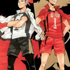 Haikyu!! 3-in-1 Edition Vol. 4 – Manga (Bind 10, 11 & 12) av Haruichi Furudate