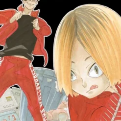 Haikyu!! (3-in-1 Edition), Vol. 8 : Includes vols. 22, 23 & 24