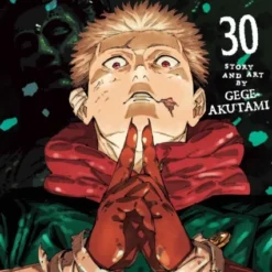 Jujutsu Kaisen 30