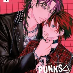 Punk's Triangle 1