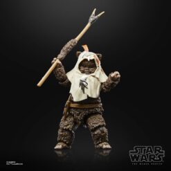 Star Wars - The Black Series - Star Wars Episode VI 40th Anniversary - Paploo