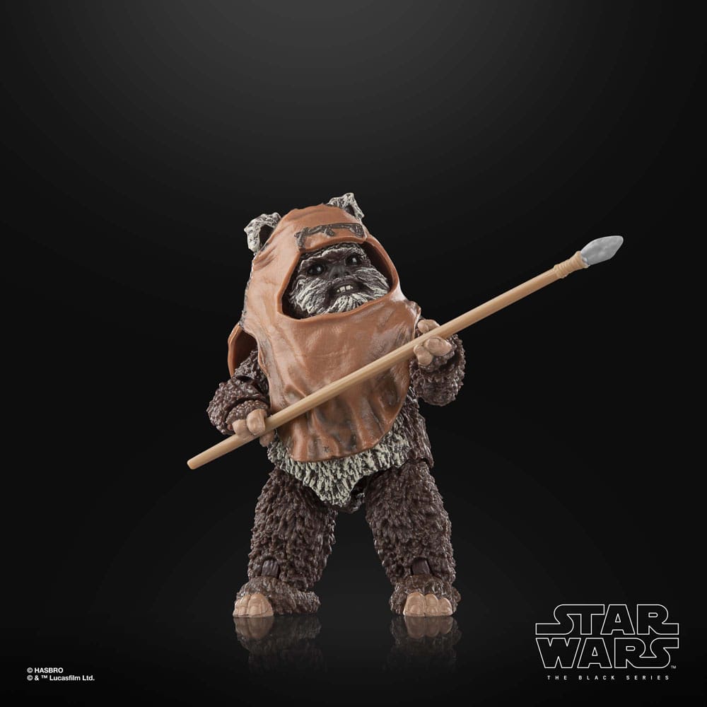 Star Wars Episode VI Black Series Action Figure Wicket 15 cm 8 Star Wars Episode VI Black Series Action Figure Wicket 15 cm - Bilde 8