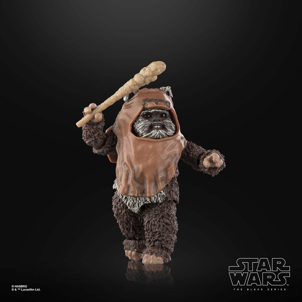 Star Wars Episode VI Black Series Action Figure Wicket 15 cm 12 Star Wars Episode VI Black Series Action Figure Wicket 15 cm - Bilde 12