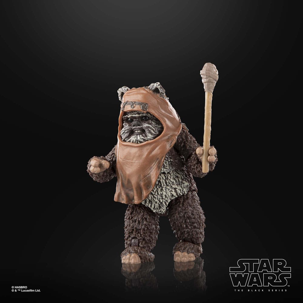 Star Wars Episode VI Black Series Action Figure Wicket 15 cm 13 Star Wars Episode VI Black Series Action Figure Wicket 15 cm - Bilde 13