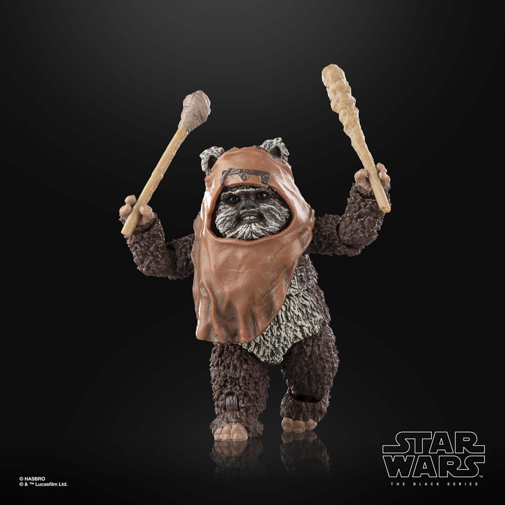 Star Wars Episode VI Black Series Action Figure Wicket 15 cm 15 Star Wars Episode VI Black Series Action Figure Wicket 15 cm - Bilde 15