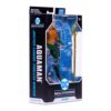 DC Multiverse - Aquaman (Endless Winter) 18 cm
