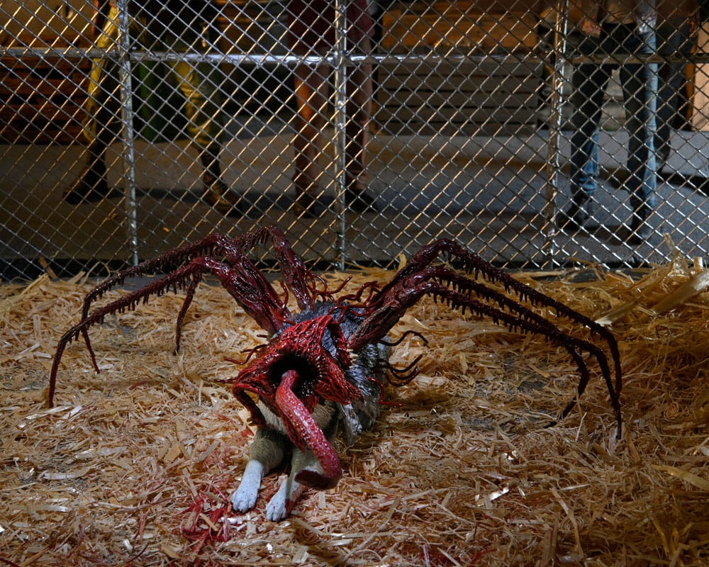 The Thing Action Figure Thing Dog Creature Ultimate Deluxe 18 cm 5 The Thing Action Figure Thing Dog Creature Ultimate Deluxe 18 cm - Bilde 5