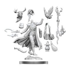 Dungeons & Dragons Frameworks Miniature Model Kit Human Druid Female