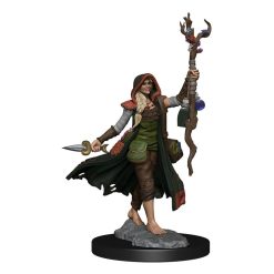 Dungeons & Dragons Frameworks Miniature Model Kit Human Druid Female