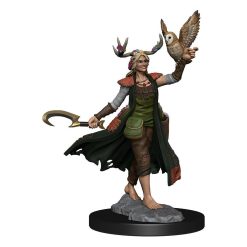 Dungeons & Dragons Frameworks Miniature Model Kit Human Druid Female