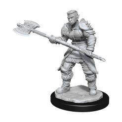 D&D Nolzur's Marvelous Miniatures Unpainted Miniatures Orc Barbarian Female Case (6)