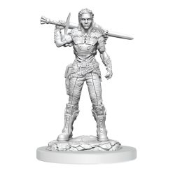 D&D Nolzur's Marvelous Miniatures Unpainted Miniatures 2-Pack Orc Fighter Female 7 D&D Nolzur's Marvelous Miniatures Unpainted Miniatures 2-Pack Orc Fighter Female