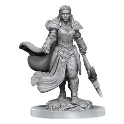 D&D Nolzur's Marvelous Miniatures Unpainted Miniatures 2-Pack Orc Fighter Female 9 D&D Nolzur's Marvelous Miniatures Unpainted Miniatures 2-Pack Orc Fighter Female