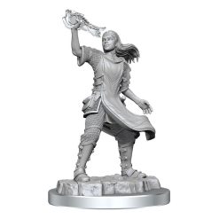 D&D Nolzur's Marvelous Miniatures Unpainted Miniatures 2-Pack Aasimar Cleric Femal