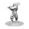 D&D Nolzur's Marvelous Miniatures Unpainted Miniature Ogre Female Case (2) 4 D&D Nolzur's Marvelous Miniatures Unpainted Miniature Ogre Female Case (2)
