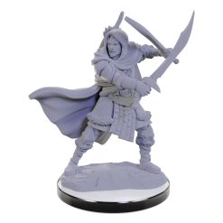 D&D Nolzur's Marvelous Miniatures miniature Unpainted Human Rangers