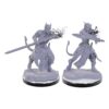 D&D Nolzur's Marvelous Miniatures miniature Unpainted Tiefling Warlocks