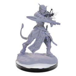 D&D Nolzur's Marvelous Miniatures miniature Unpainted Tiefling Warlocks 7 D&D Nolzur's Marvelous Miniatures miniature Unpainted Tiefling Warlocks