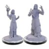 D&D Nolzur's Marvelous Miniatures miniature Unpainted Elf Wizards 11 D&D Nolzur's Marvelous Miniatures miniature Unpainted Elf Wizards