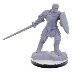 D&D Nolzur's Marvelous Miniatures miniature Unpainted Reborn Paladin & Warlock 7 D&D Nolzur's Marvelous Miniatures miniature Unpainted Reborn Paladin & Warlock
