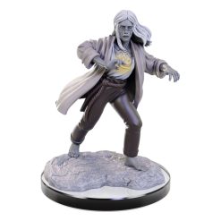 D&D Nolzur's Marvelous Miniatures miniature Unpainted Reborn Paladin & Warlock 8 D&D Nolzur's Marvelous Miniatures miniature Unpainted Reborn Paladin & Warlock