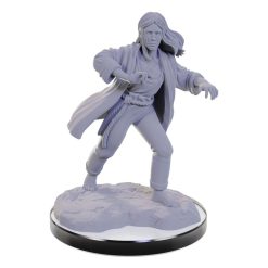 D&D Nolzur's Marvelous Miniatures miniature Unpainted Reborn Paladin & Warlock 9 D&D Nolzur's Marvelous Miniatures miniature Unpainted Reborn Paladin & Warlock